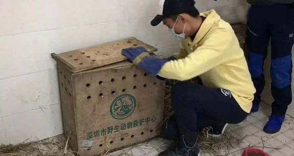 深圳市野生动物救护中心