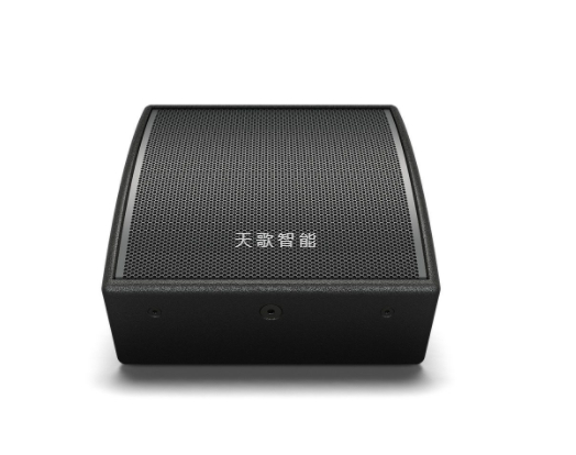BOSE AMM108 多用途扬声器