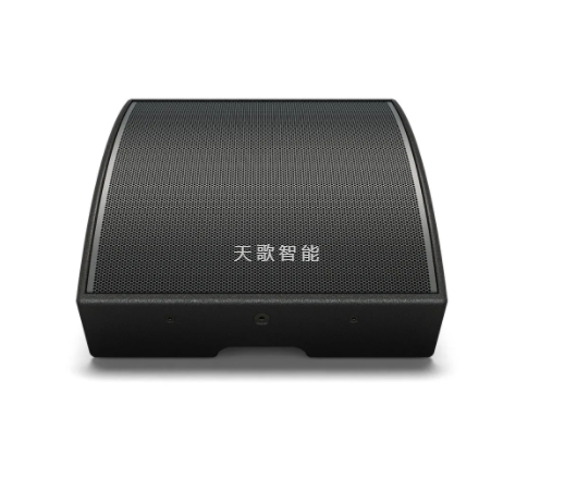 BOSE AMM112 多用途扬声器