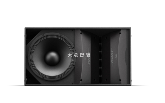 BOSE ArenaMatch AM20 户外阵列扬声器