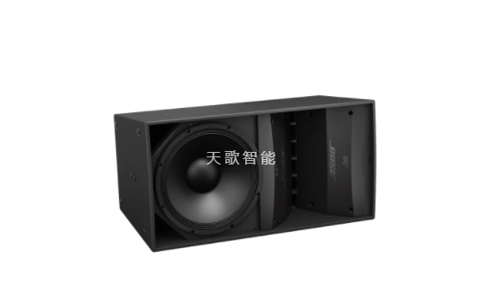 BOSE ArenaMatch AM10 户外阵列扬声器