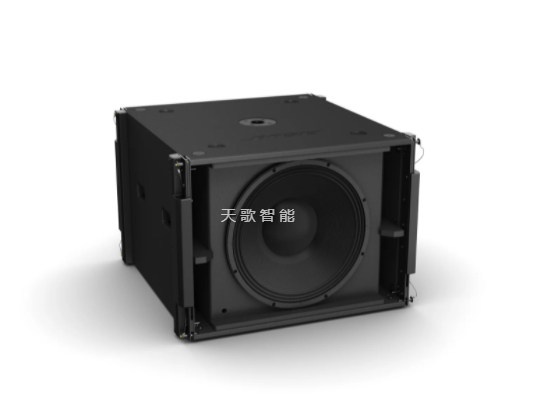 BOSE ShowMatch SMS118 低音扬声器