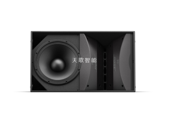 BOSE ArenaMatch AM40 户外阵列扬声器