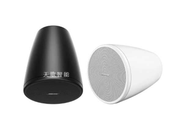 BOSE DesignMax DM3P 扬声器（1 对）