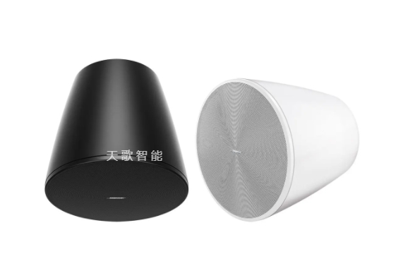 BOSE DesignMax DM10P-SUB 吊顶扬声器