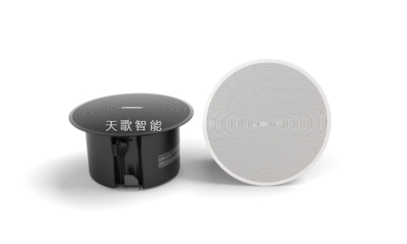 BOSE DesignMax DM2C-LP 扬声器