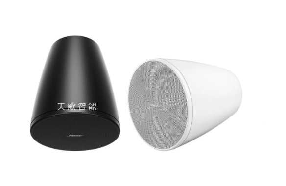 BOSE DesignMax DM5P 扬声器（1 对）