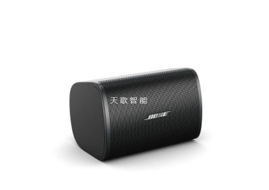 BOSE DesignMax DM3SE 壁装扬声器