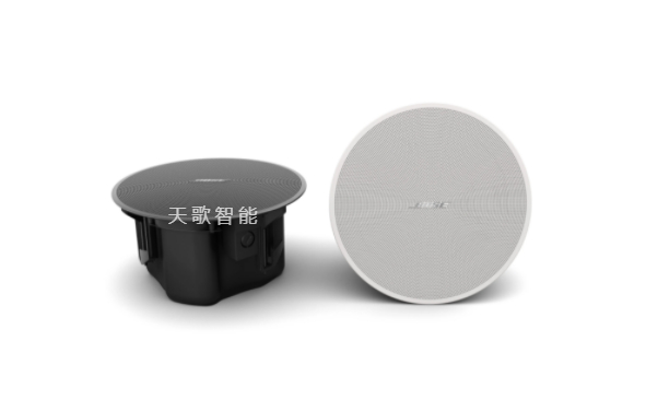 BOSE DesignMax DM3C 扬声器