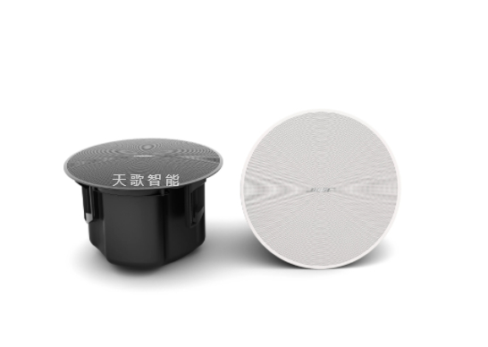 BOSE DesignMax DM5C 吸顶式扬声器
