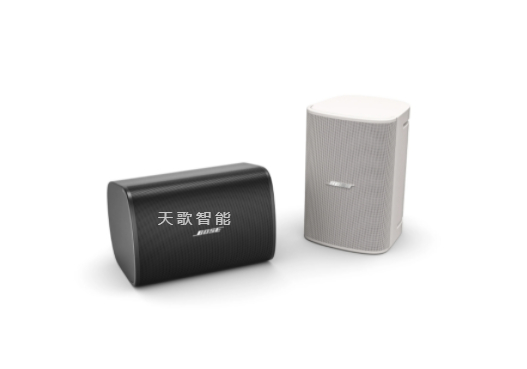BOSE DesignMax DM5SE 壁装扬声器