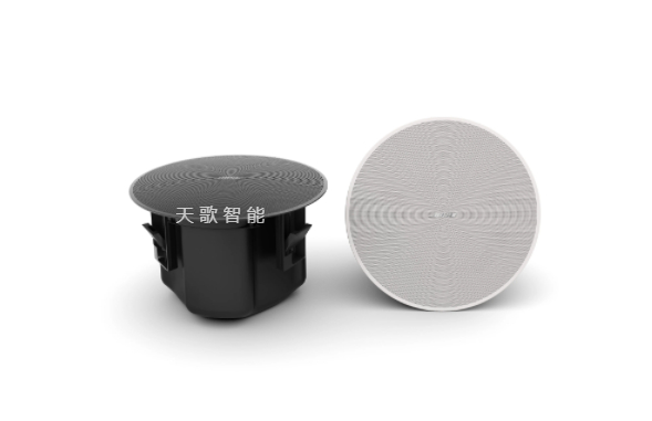 BOSE DesignMax DM6C 吸顶式扬声器
