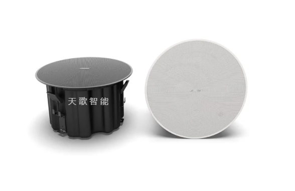 BOSE DesignMax DM8C 吸顶式扬声器