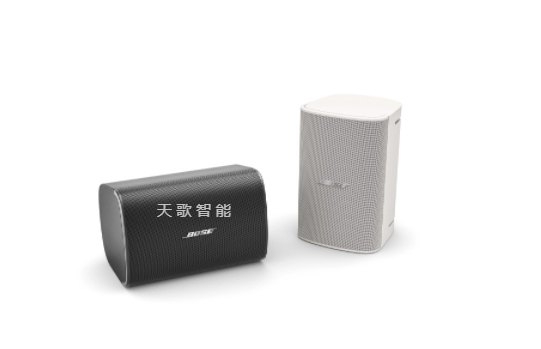 BOSE DesignMax DM6SE 壁装扬声器