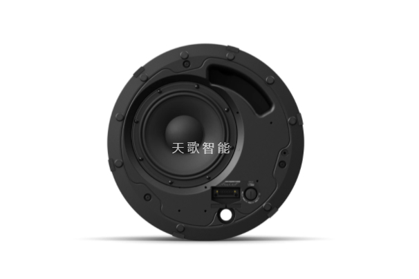 BOSE DesignMax DM8C-SUB 吸顶式低音箱