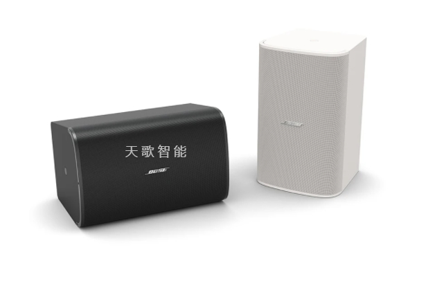 BOSE DesignMax DM10S-SUB 壁装低音箱