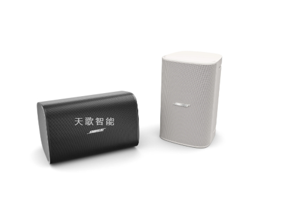 BOSE DesignMax DM8S 壁装扬声器