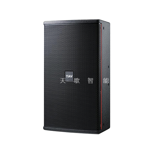CQ-15PLUS    单15寸两分频音箱/带返送
